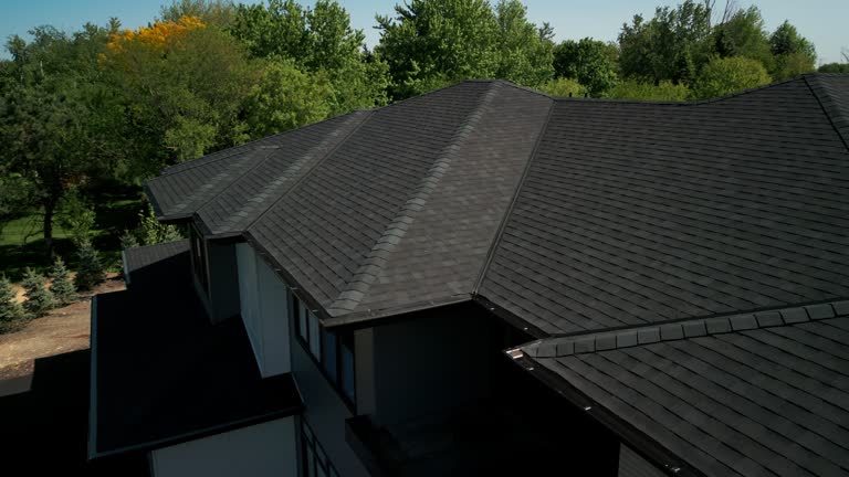 Best Chimney Flashing Repair  in Whitestown, IN